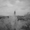 Webcam_20180611-220000