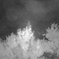 Webcam_20180612-000000