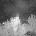 Webcam_20180614-000000