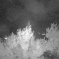 Webcam_20180615-000000