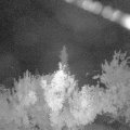 Webcam_20180621-000000