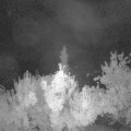 Webcam_20180625-000000