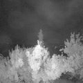 Webcam_20180626-000000