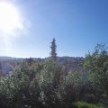 Webcam_20180627-081500