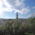 Webcam_20180629-074500
