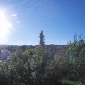 Webcam_20180701-074500