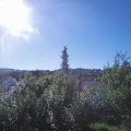 Webcam_20180701-083000