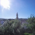 Webcam_20180701-084500