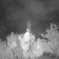 Webcam_20180705-000000