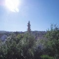 Webcam_20180708-090000