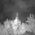 Webcam_20180709-000000