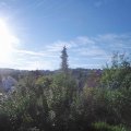 Webcam_20180709-074500