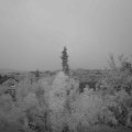 Webcam_20180710-214500