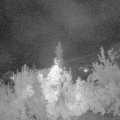 Webcam_20180723-233000
