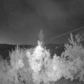 Webcam_20180724-041500