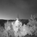 Webcam_20180724-043000