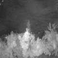 Webcam_20180724-230000