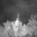 Webcam_20180724-233000