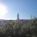 Webcam_20180725-080000