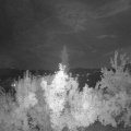 Webcam_20180725-223000