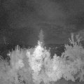 Webcam_20180725-230000