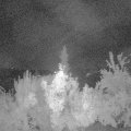 Webcam_20180726-040000