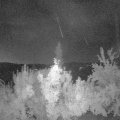 Webcam_20180726-041500