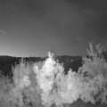 Webcam_20180726-043000