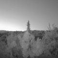 Webcam_20180726-050000