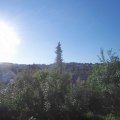 Webcam_20180726-074500