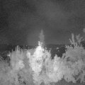 Webcam_20180726-230000