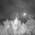 Webcam_20180731-000000