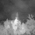 Webcam_20180731-040000