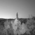 Webcam_20180731-050000