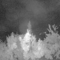 Webcam_20180802-040000
