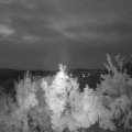 Webcam_20180802-050000