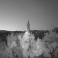 Webcam_20180803-050000