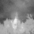 Webcam_20180804-041500