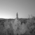 Webcam_20180804-051500