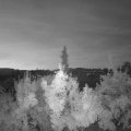 Webcam_20180805-050000