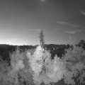 Webcam_20180806-050000