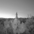 Webcam_20180806-051500