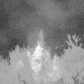 Webcam_20180808-040000