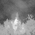 Webcam_20180808-041500