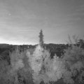 Webcam_20180808-051500