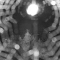 Webcam_20180811-214500