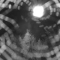 Webcam_20180813-000000