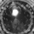 Webcam_20180816-050000