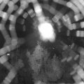 Webcam_20180816-214500