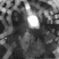 Webcam_20180816-224500